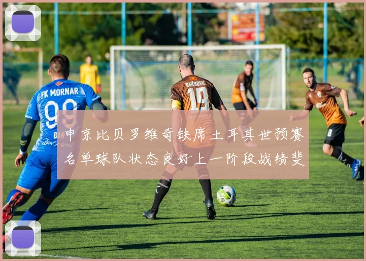 申京比贝罗维奇缺席土耳其世预赛名单球队状态良好上一阶段战绩斐然